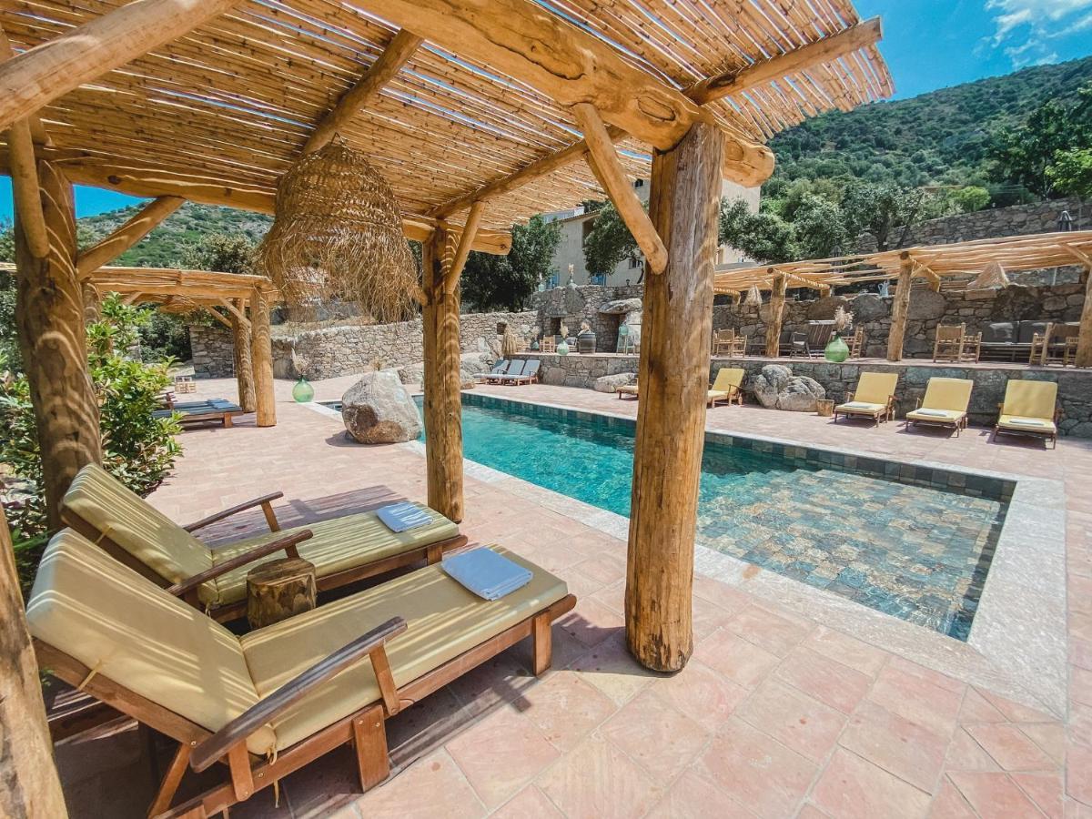 Residence De Luxe 4 Etoiles A Pietralba, 4 Logements Piscine Chauffee Balagne Dış mekan fotoğraf