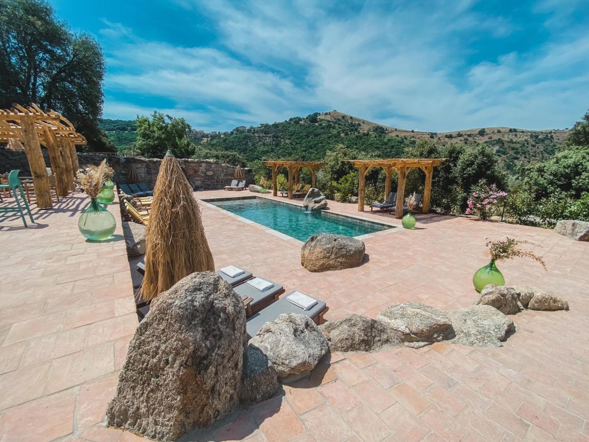 Residence De Luxe 4 Etoiles A Pietralba, 4 Logements Piscine Chauffee Balagne Dış mekan fotoğraf