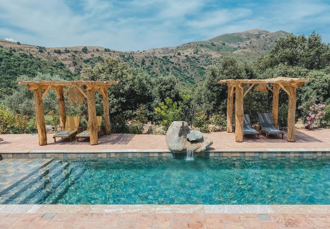 Residence De Luxe 4 Etoiles A Pietralba, 4 Logements Piscine Chauffee Balagne Dış mekan fotoğraf
