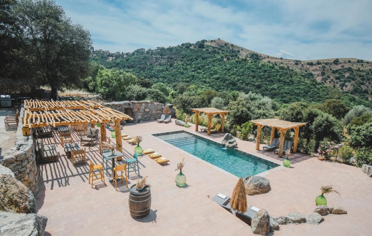 Residence De Luxe 4 Etoiles A Pietralba, 4 Logements Piscine Chauffee Balagne Dış mekan fotoğraf