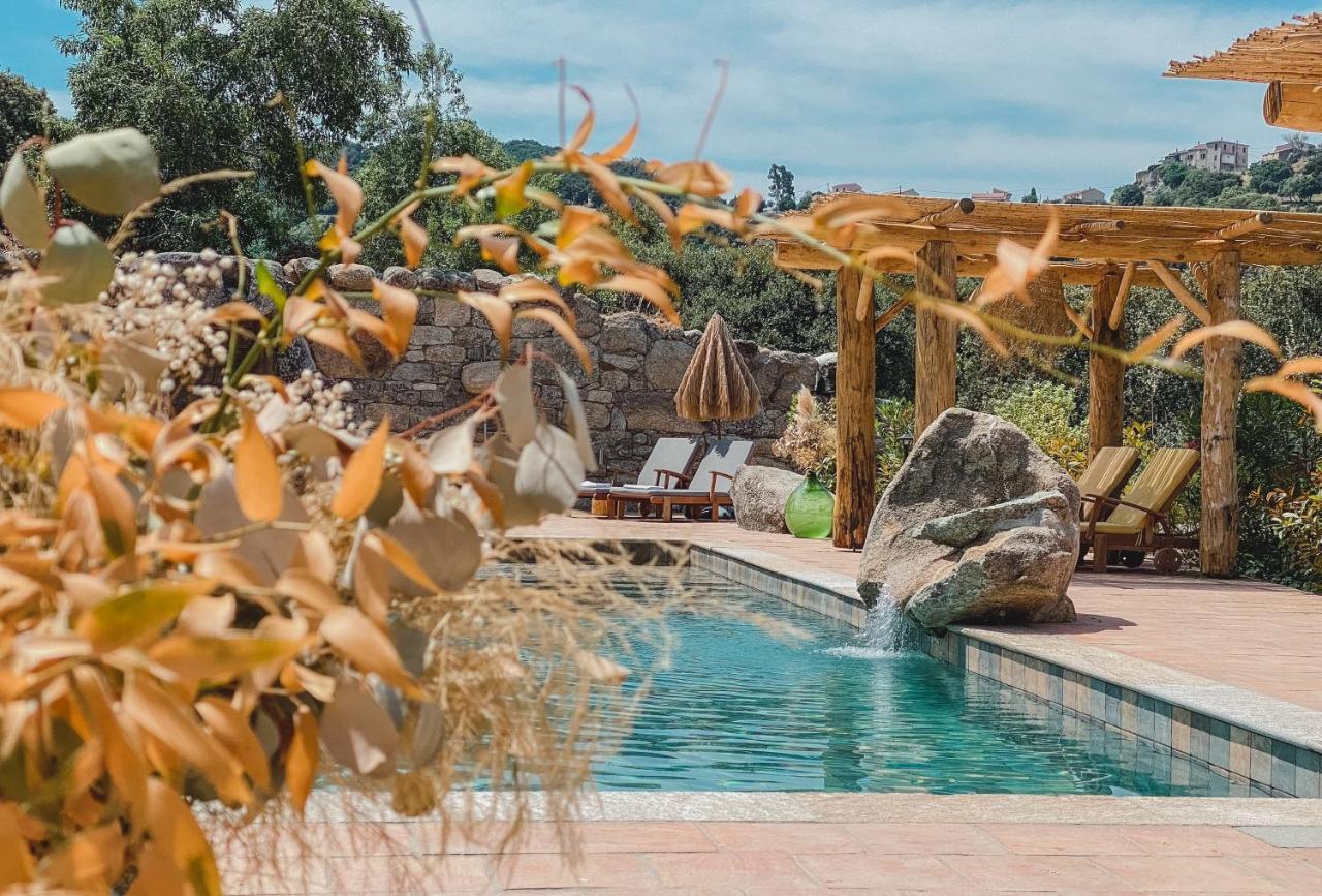 Residence De Luxe 4 Etoiles A Pietralba, 4 Logements Piscine Chauffee Balagne Dış mekan fotoğraf
