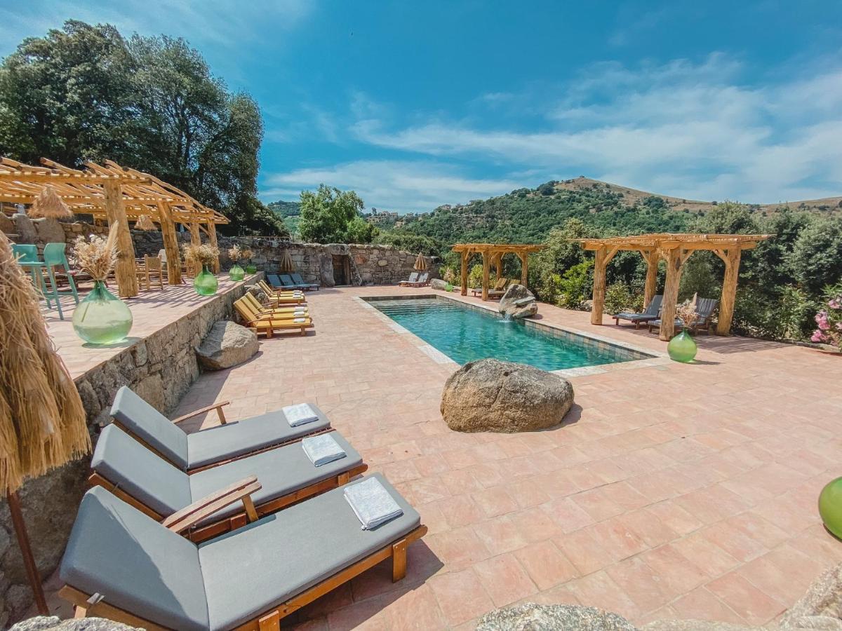 Residence De Luxe 4 Etoiles A Pietralba, 4 Logements Piscine Chauffee Balagne Dış mekan fotoğraf