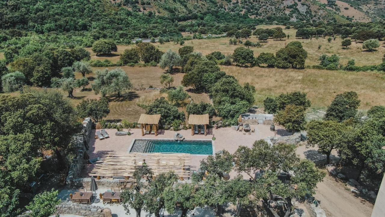 Residence De Luxe 4 Etoiles A Pietralba, 4 Logements Piscine Chauffee Balagne Dış mekan fotoğraf