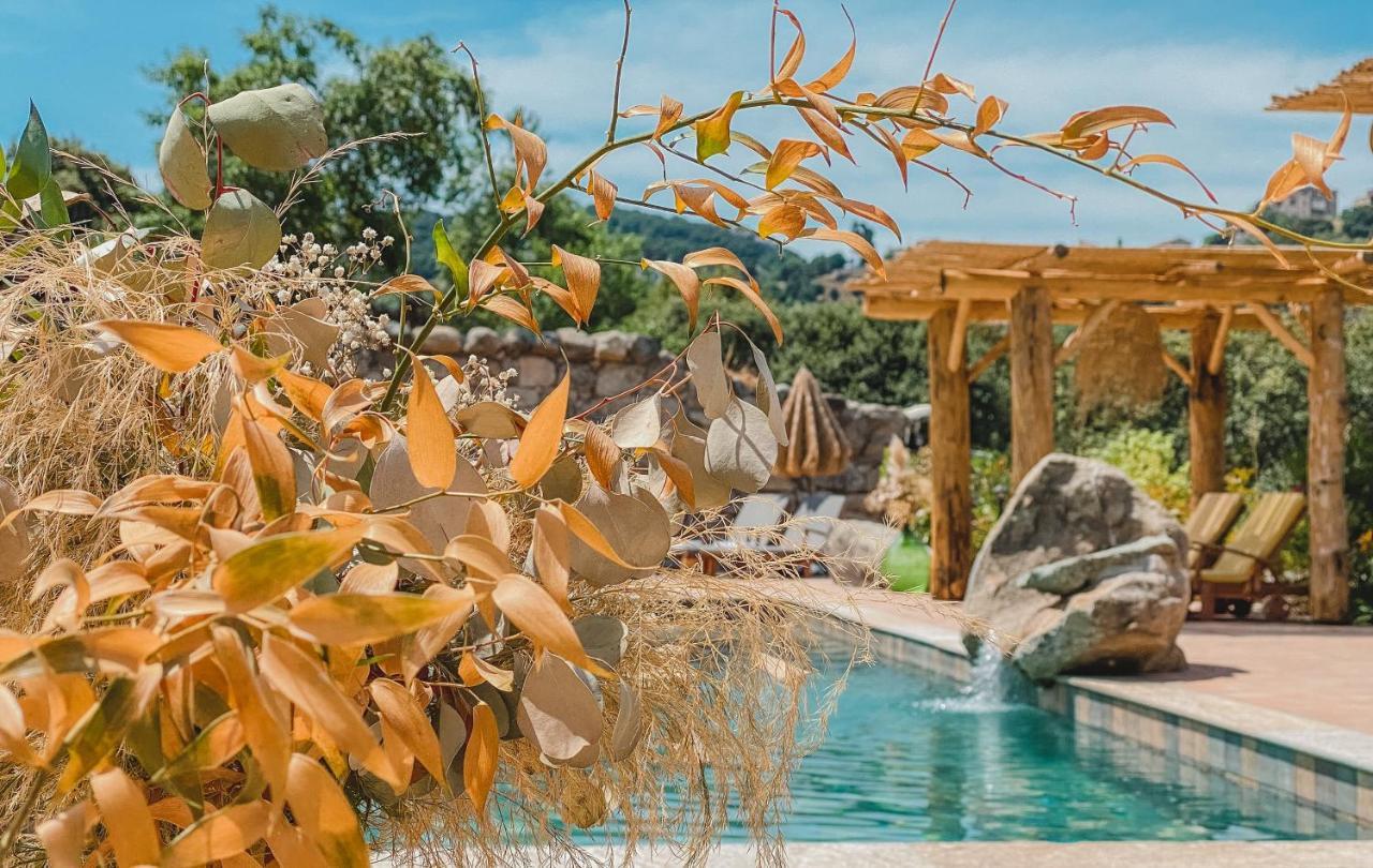 Residence De Luxe 4 Etoiles A Pietralba, 4 Logements Piscine Chauffee Balagne Dış mekan fotoğraf
