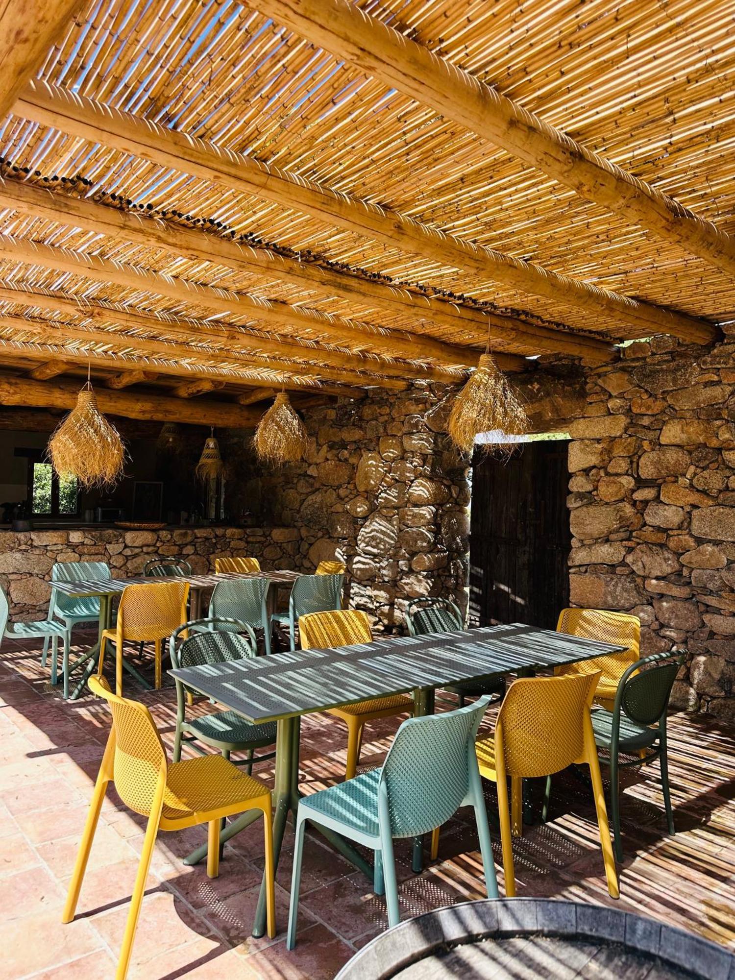 Residence De Luxe 4 Etoiles A Pietralba, 4 Logements Piscine Chauffee Balagne Dış mekan fotoğraf