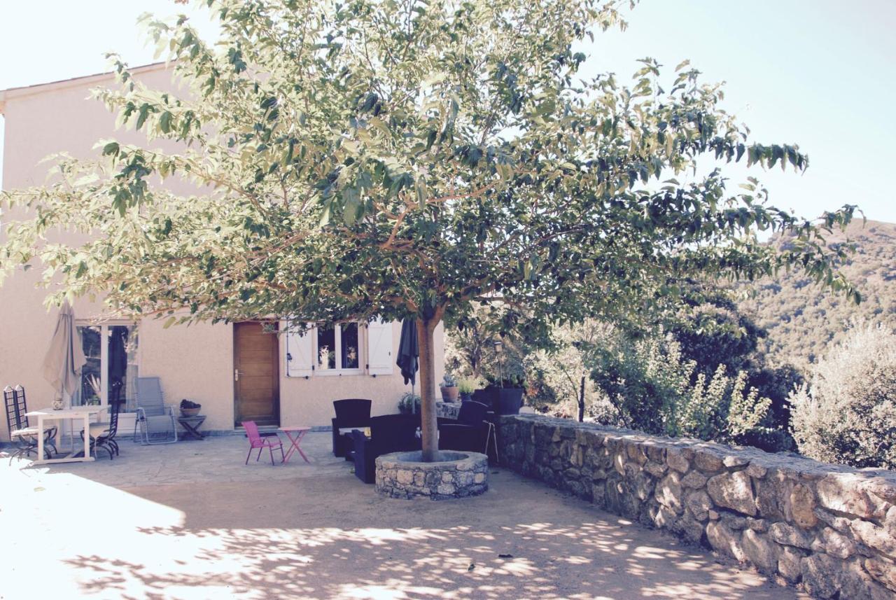 Residence De Luxe 4 Etoiles A Pietralba, 4 Logements Piscine Chauffee Balagne Dış mekan fotoğraf
